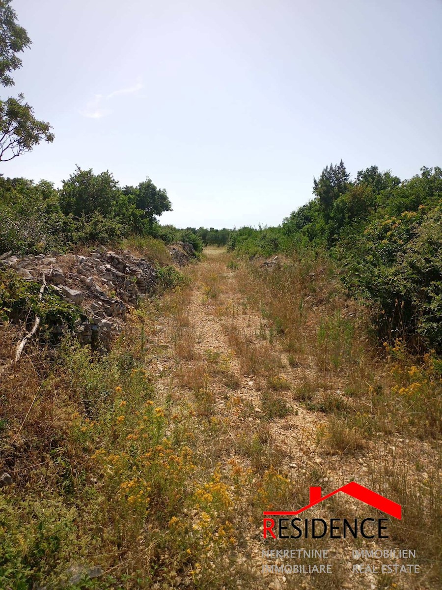 Parcela Naprodaj - ISTARSKA Vodnjan