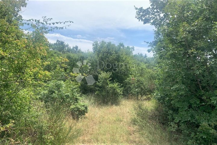 Terreno in vendita 3795 m² – Divšići