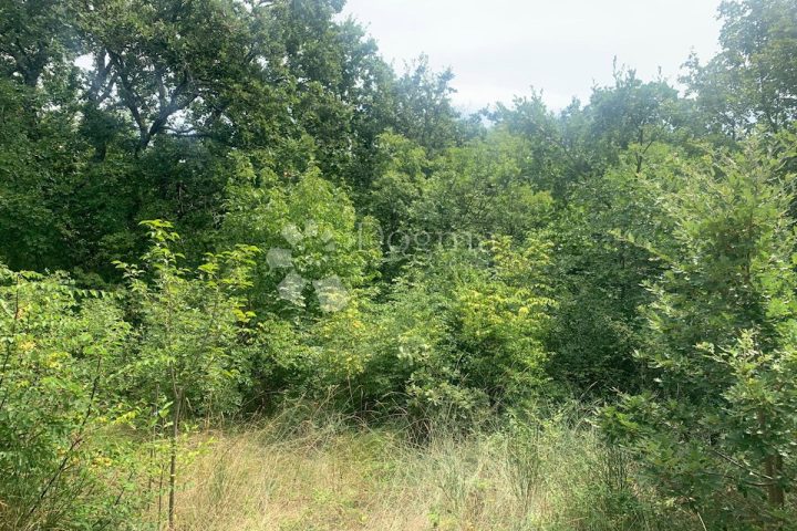 Działka Na sprzedaż - Istarska Marčana - foto 4/5
