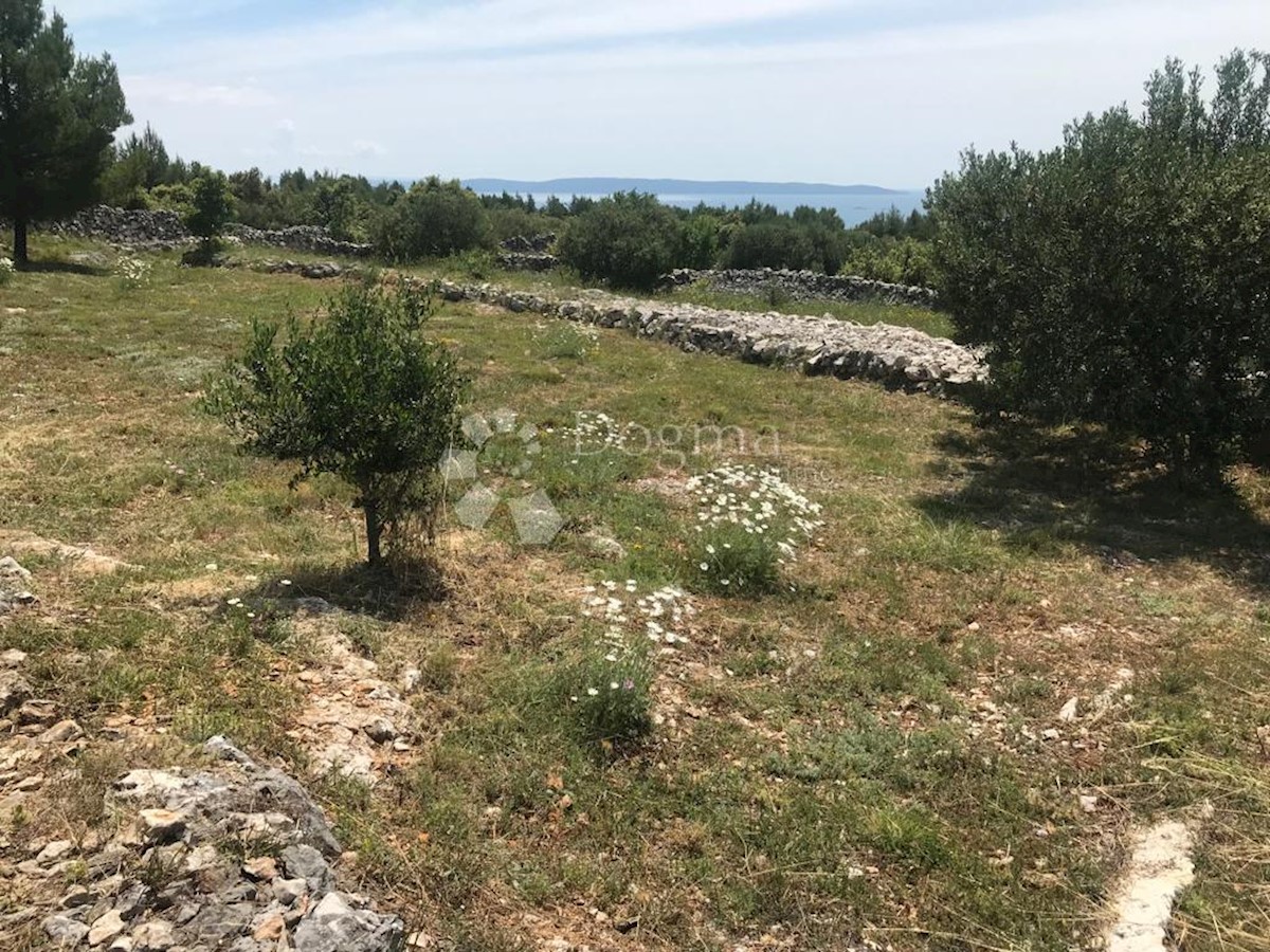 Dom Na predaj - SPLITSKO-DALMATINSKA MARINA