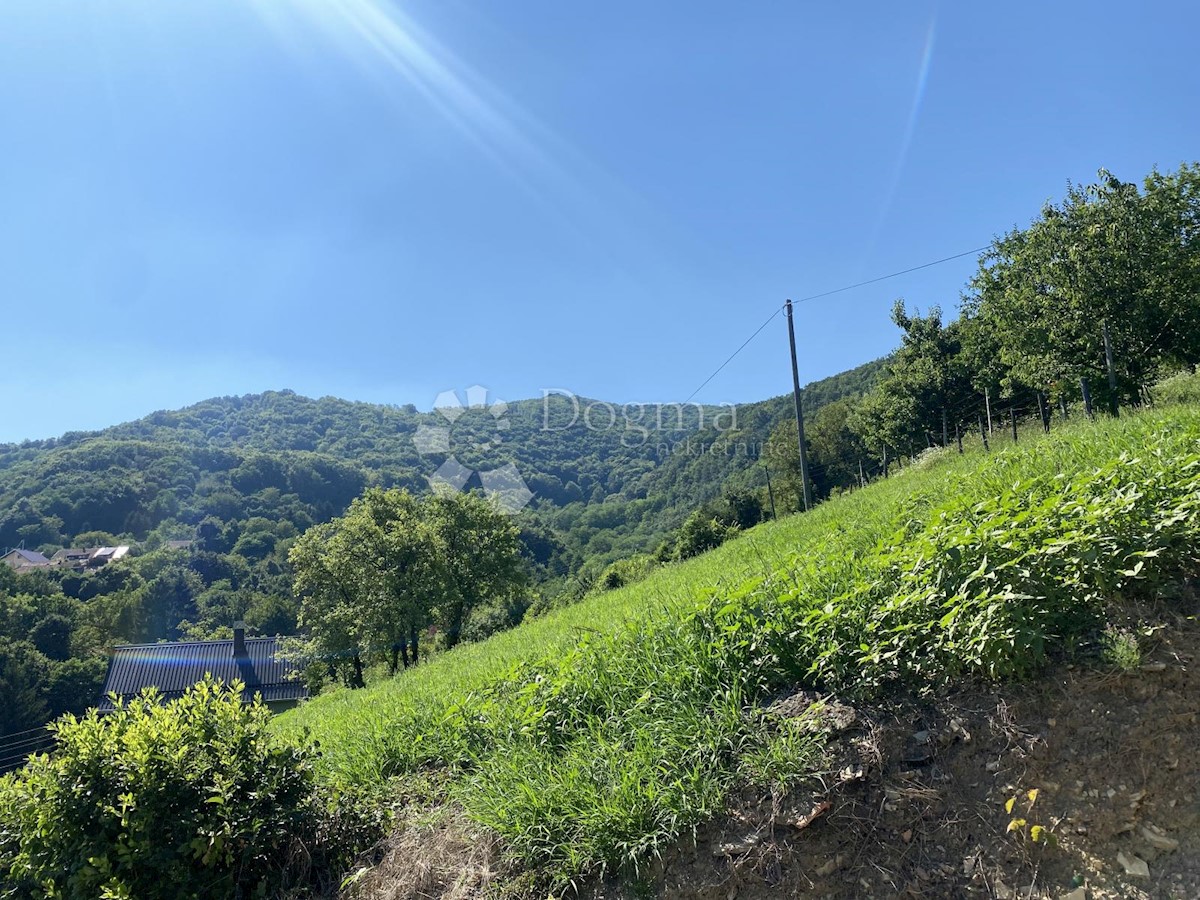 Land For sale MADŽAREVO