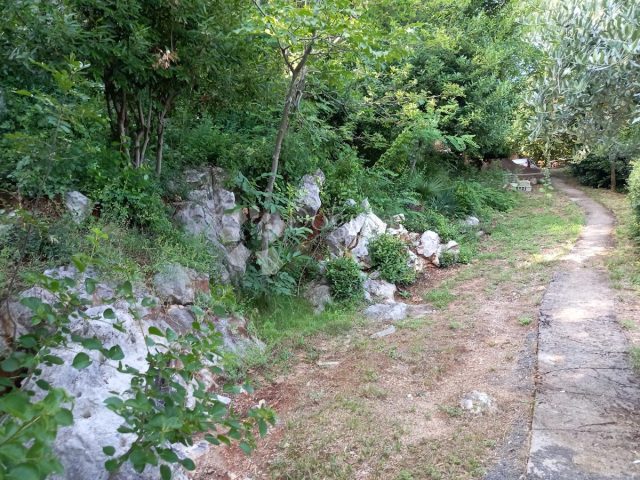 Terreno in vendita 2019 m² – Medveja