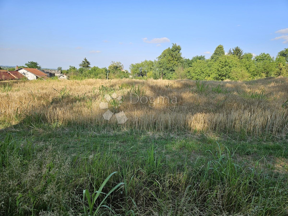 Pozemok Na predaj - VARAŽDINSKA BERETINEC