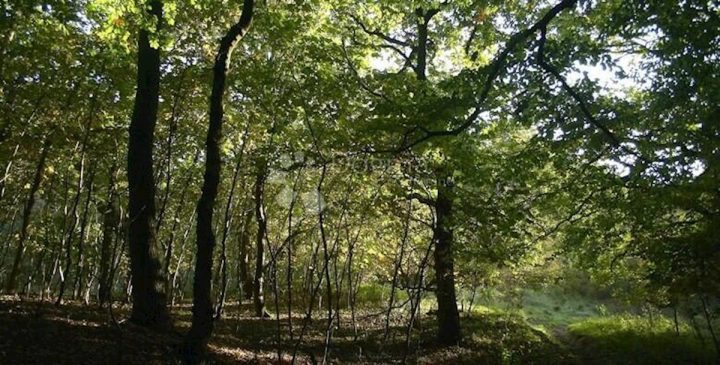 Pozemek na prodej 10441 m² – Čabar