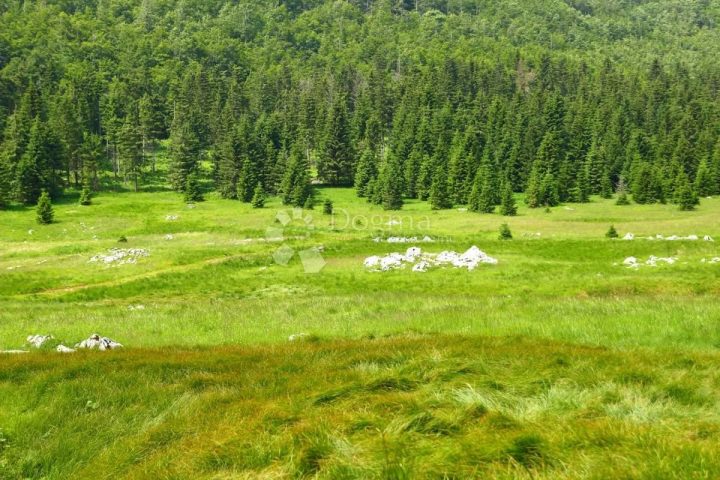 Pozemek Na prodej - Primorsko-goranska čabar - foto 3/3
