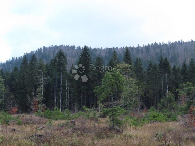 Parcela Naprodaj - Primorsko-goranska čabar - foto 4/4