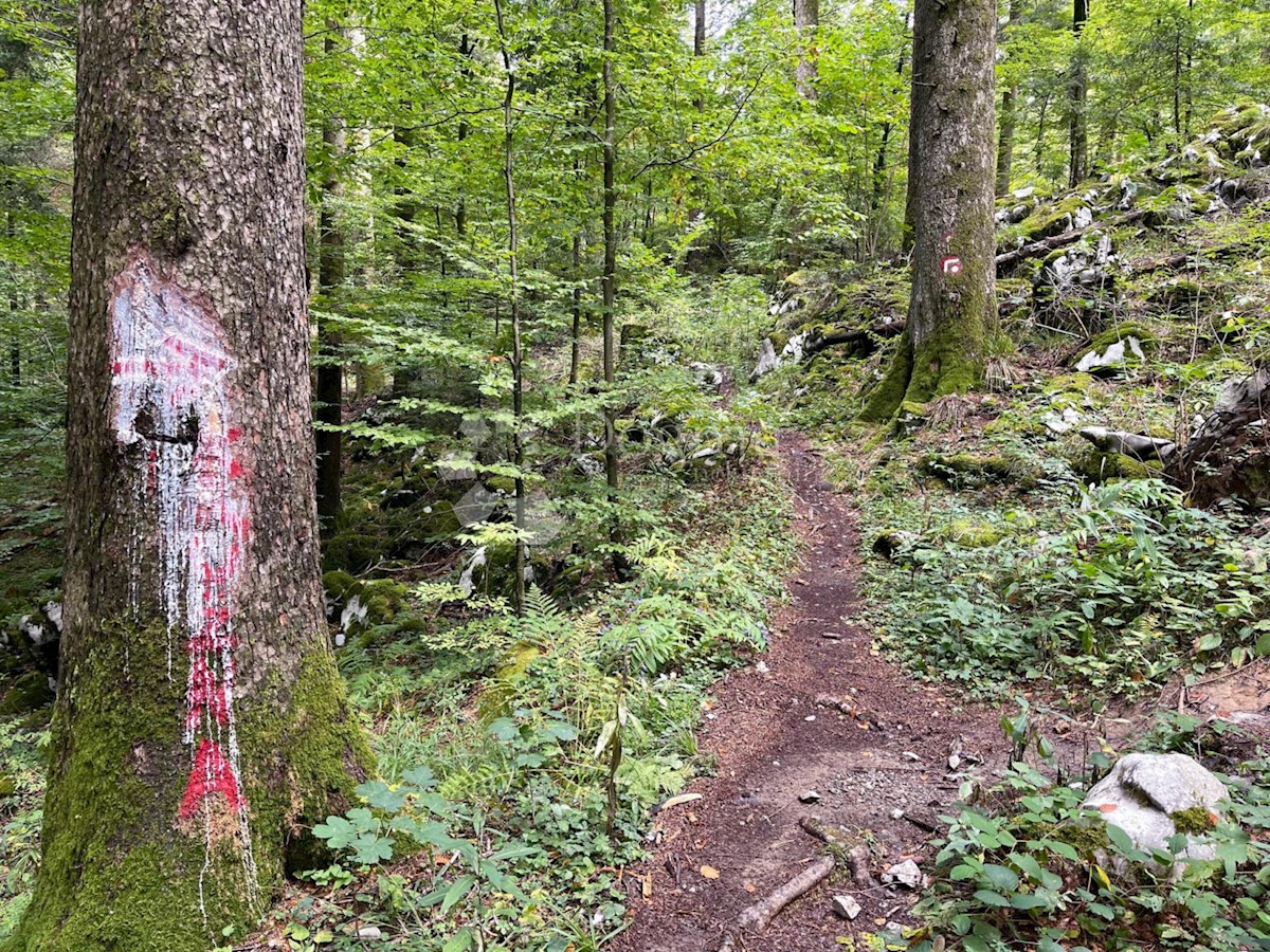 Pozemek Na prodej - PRIMORSKO-GORANSKA ČABAR