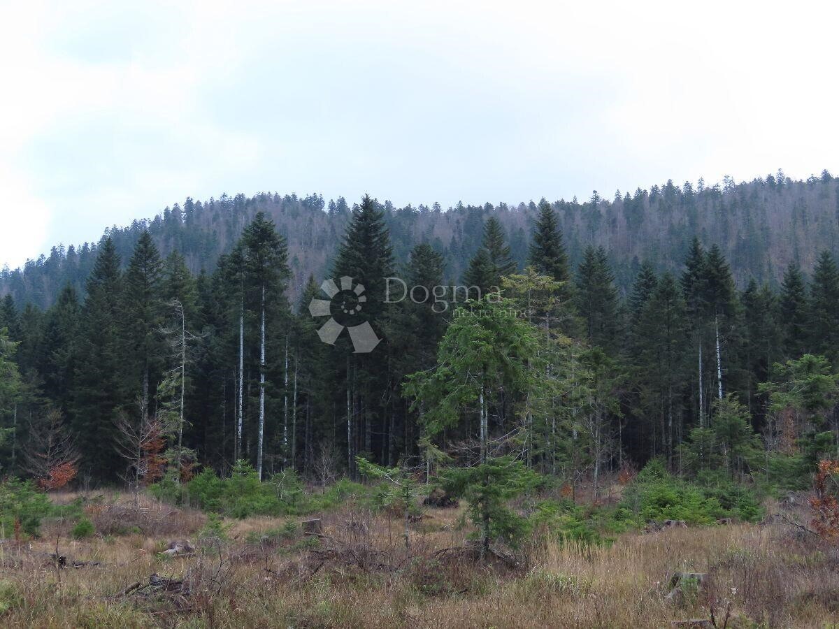 Parcela Naprodaj - PRIMORSKO-GORANSKA Čabar