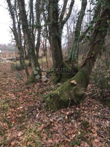 Parcela Naprodaj - Istarska Rovinj - foto 2/7