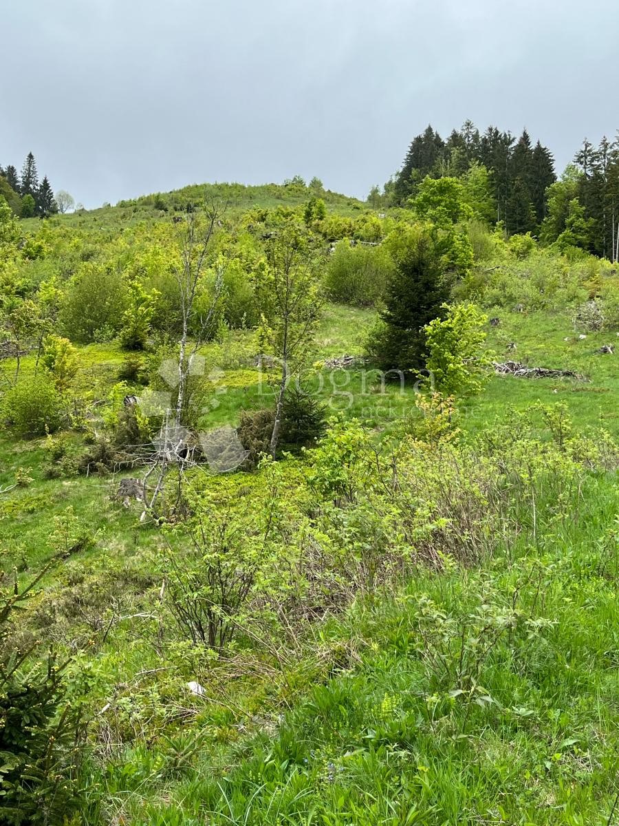Parcela Naprodaj - PRIMORSKO-GORANSKA Mrkopalj