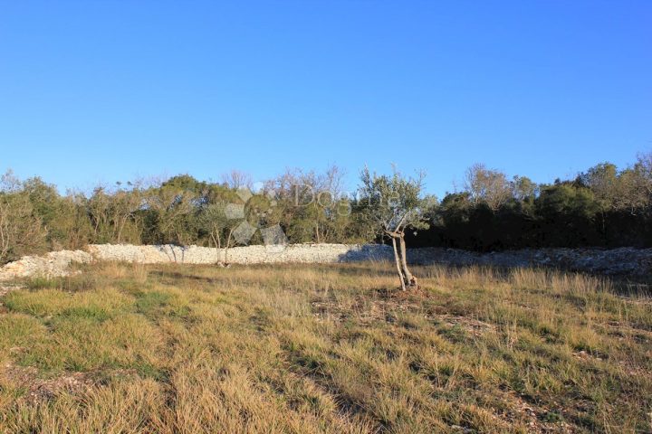 Parcela Naprodaj - Istarska Fažana - foto 2/6