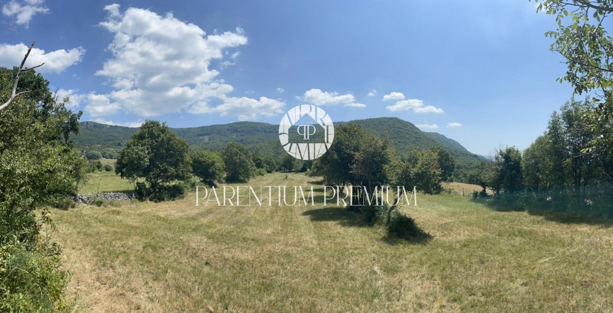 Land For sale - ISTARSKA LUPOGLAV