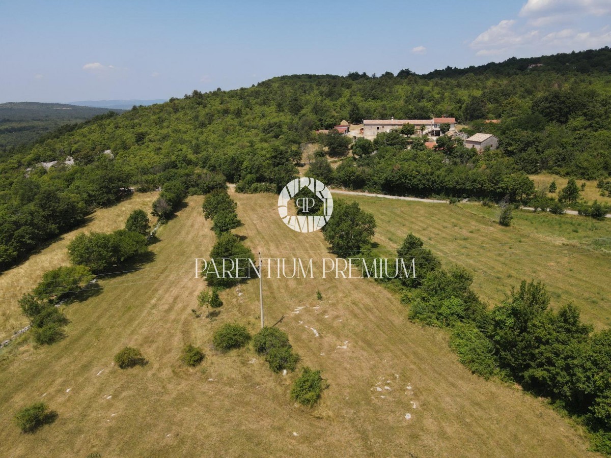 Land For sale - ISTARSKA LUPOGLAV