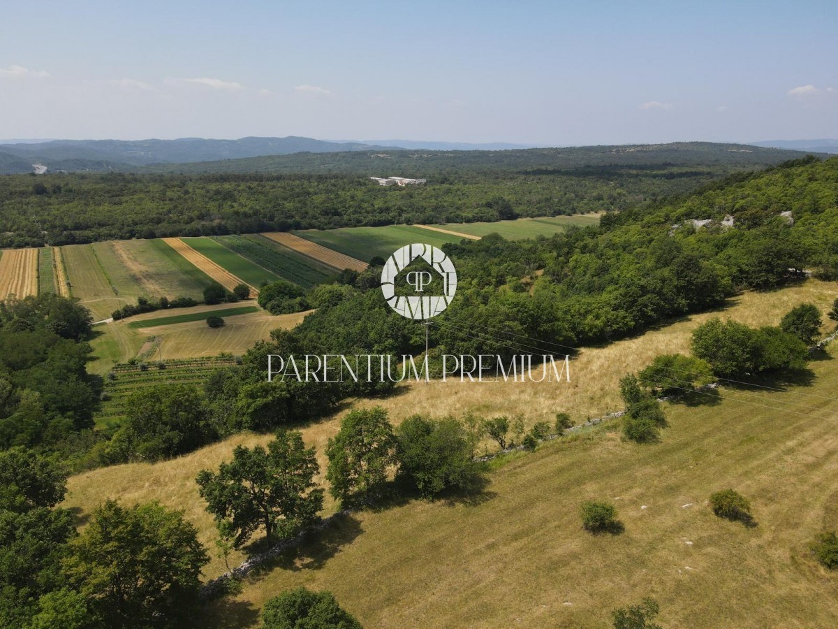 Land For sale - ISTARSKA LUPOGLAV