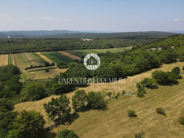 Zemljište na prodaju 5942 m² – Semić