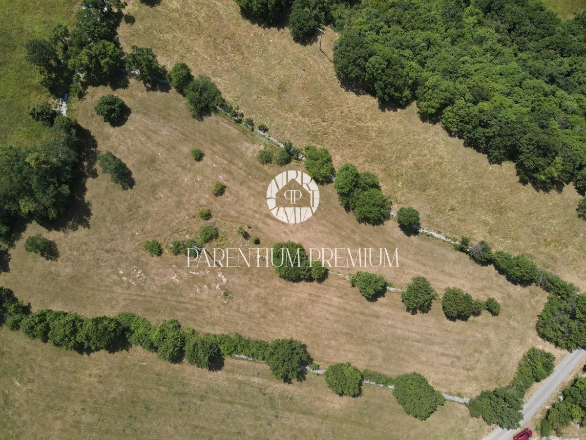 Land For sale - ISTARSKA LUPOGLAV