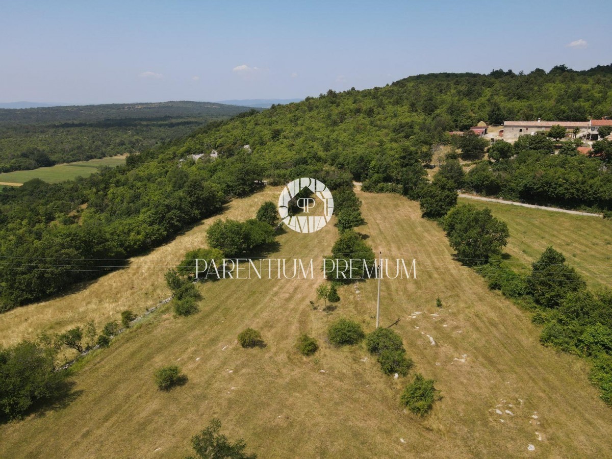 Land For sale - ISTARSKA LUPOGLAV