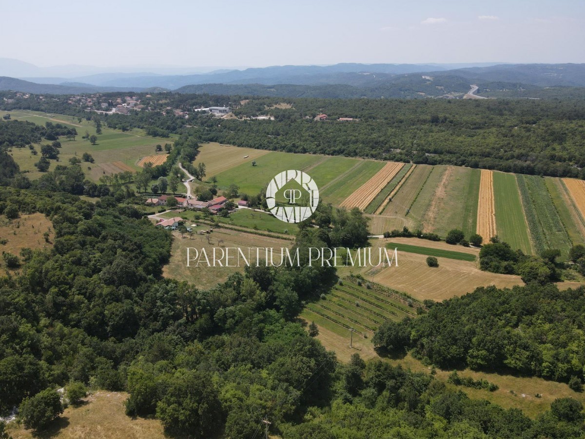 Land For sale - ISTARSKA LUPOGLAV