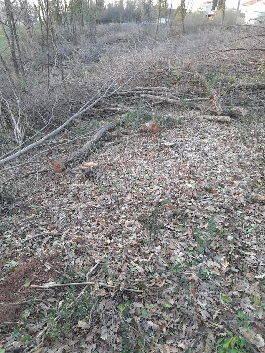 Grundstück Zu verkaufen - ISTARSKA ŽMINJ