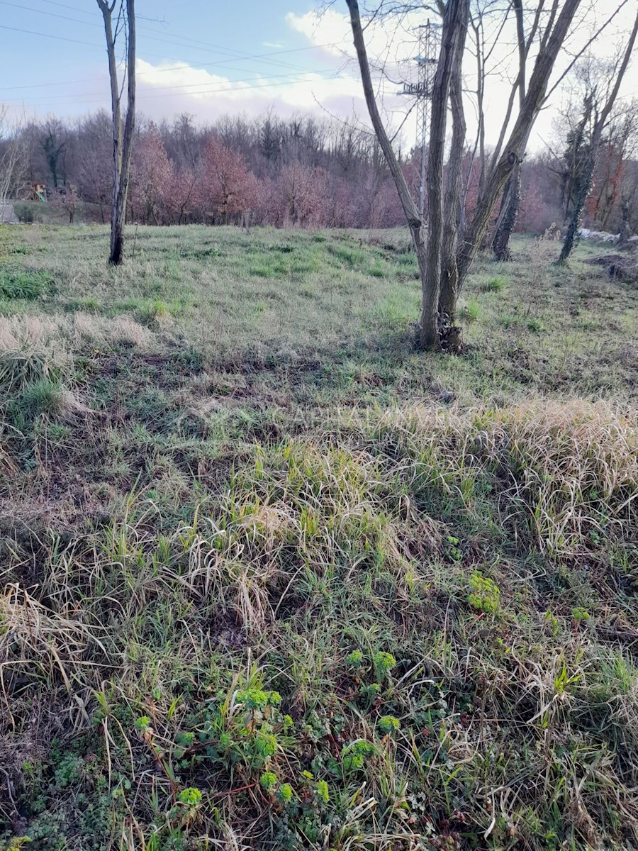 Terreno In vendita - ISTARSKA ŽMINJ