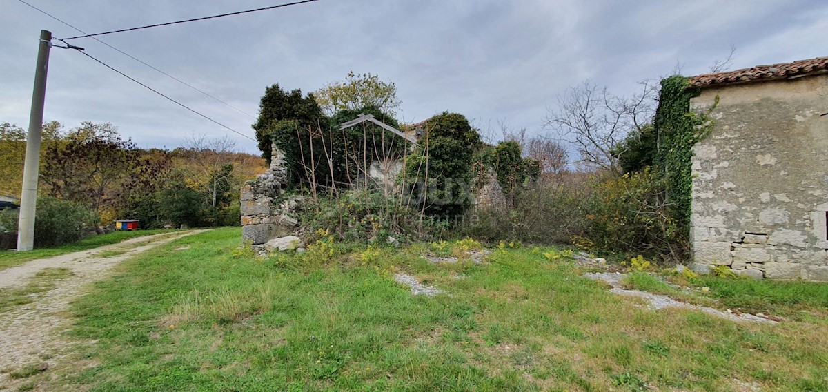 Terreno In vendita - ISTARSKA GROŽNJAN