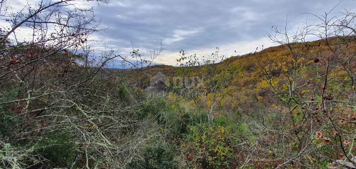 Terreno In vendita - ISTARSKA GROŽNJAN