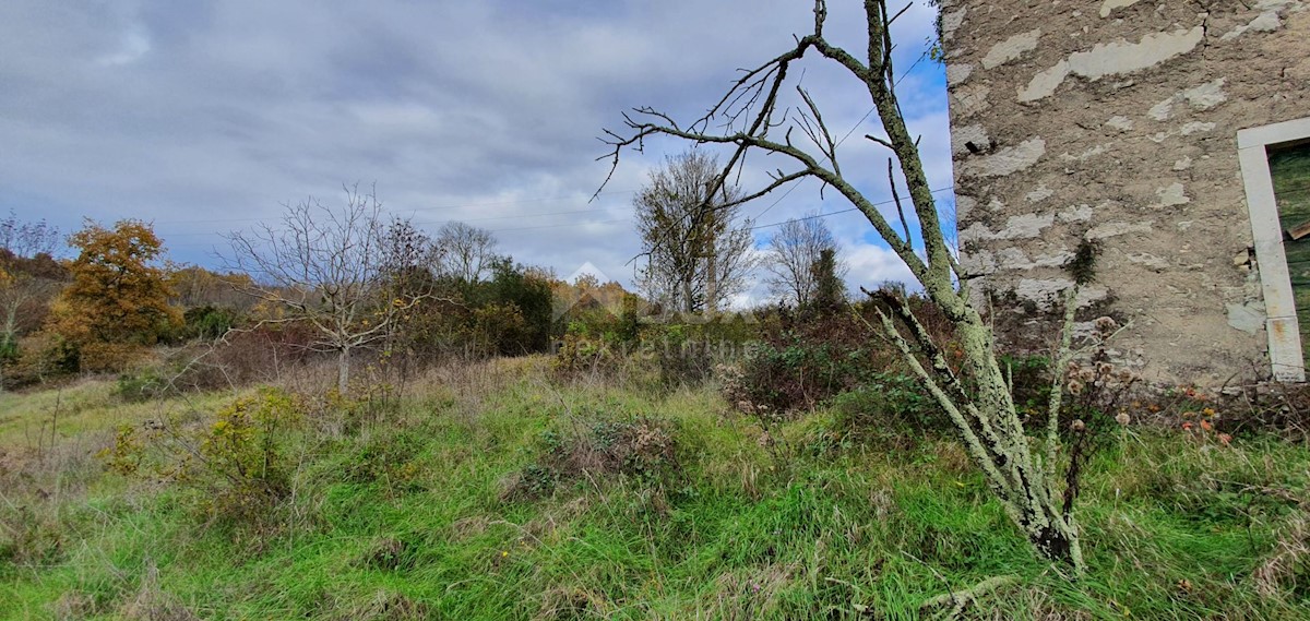 Terreno In vendita - ISTARSKA GROŽNJAN