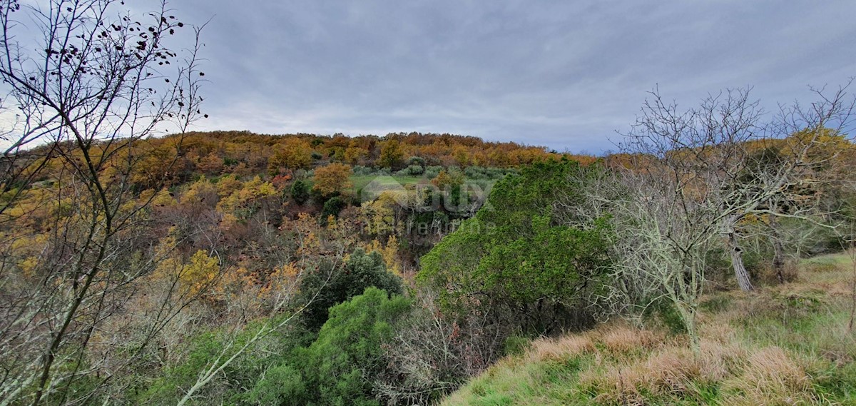 Terreno In vendita - ISTARSKA GROŽNJAN