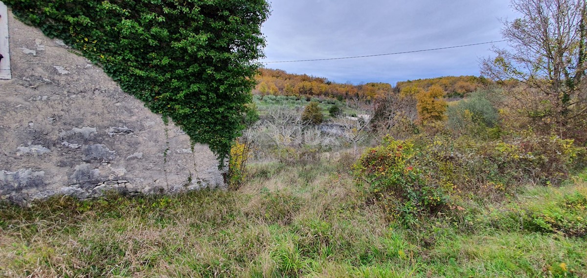 Terreno In vendita - ISTARSKA GROŽNJAN