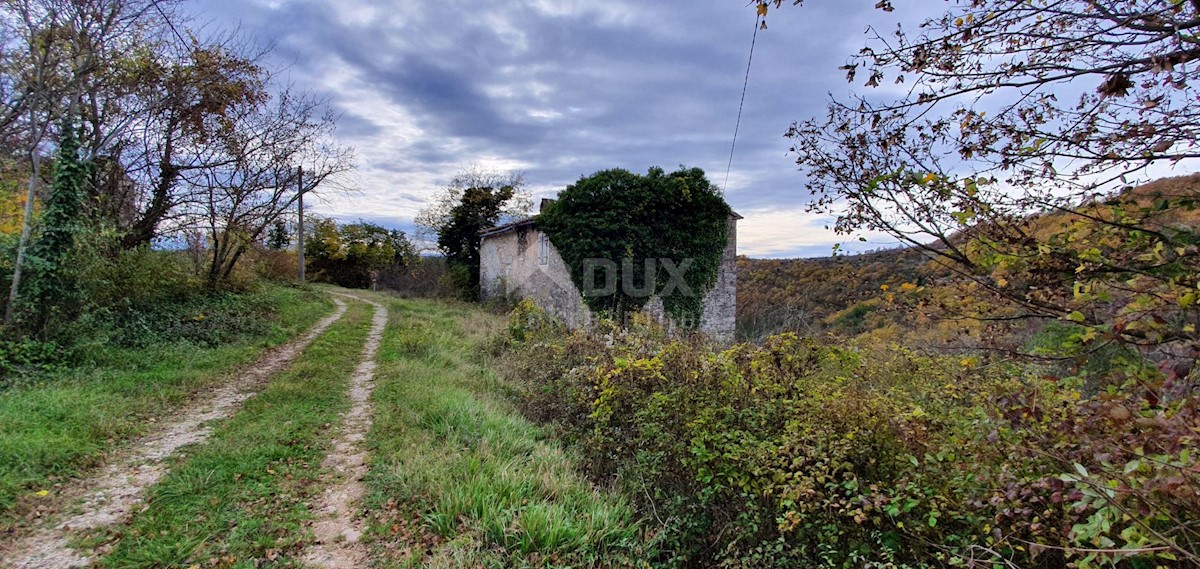 Terreno In vendita - ISTARSKA GROŽNJAN