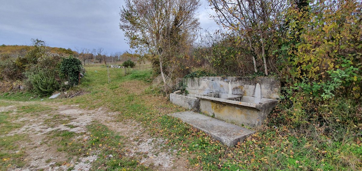 Terreno In vendita - ISTARSKA GROŽNJAN