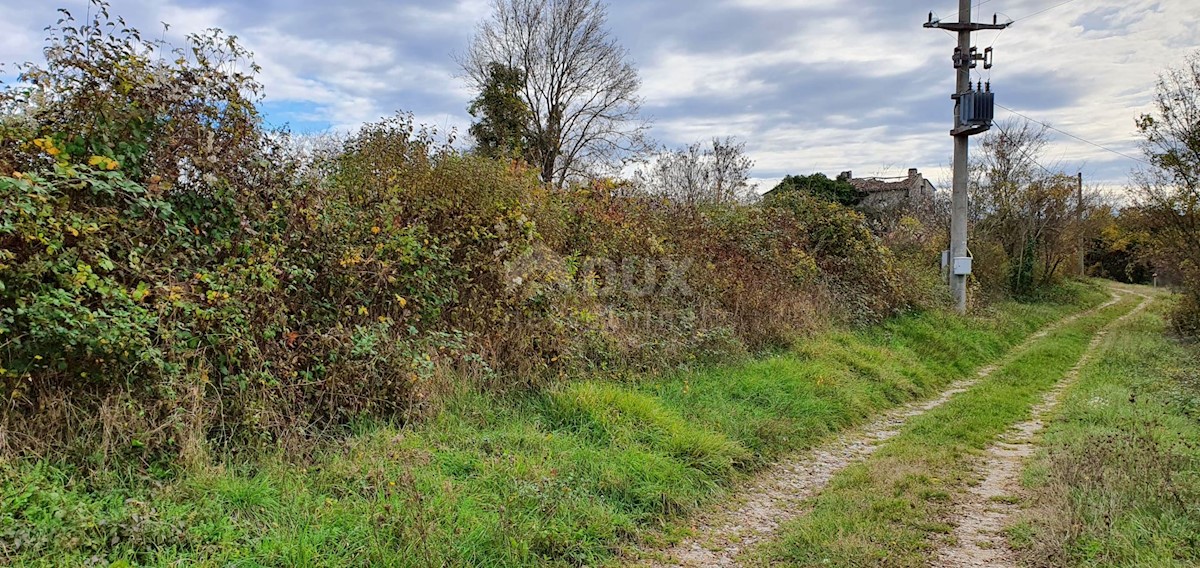 Terreno In vendita - ISTARSKA GROŽNJAN