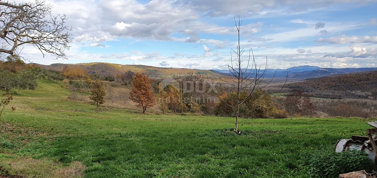 Terreno In vendita - ISTARSKA GROŽNJAN