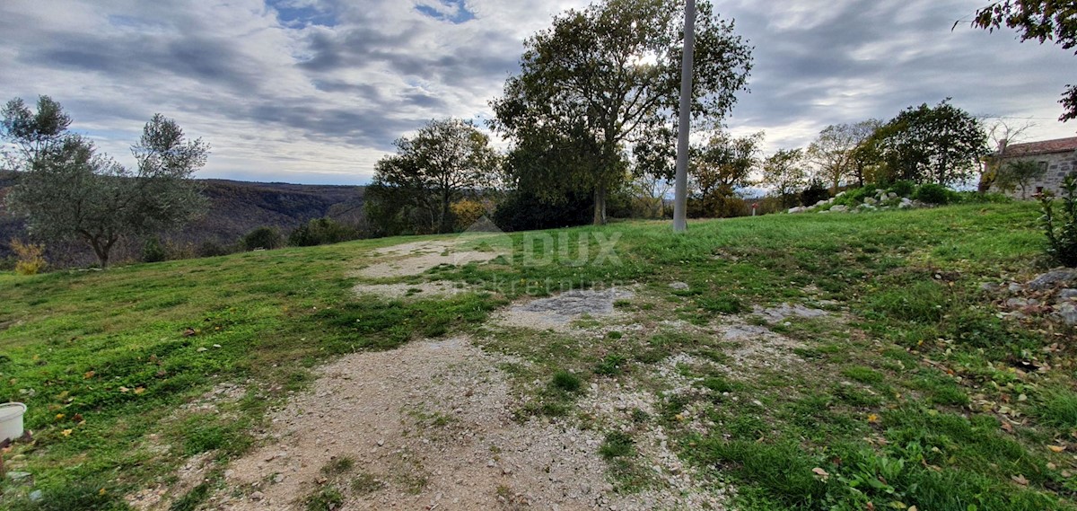 Terreno In vendita - ISTARSKA GROŽNJAN