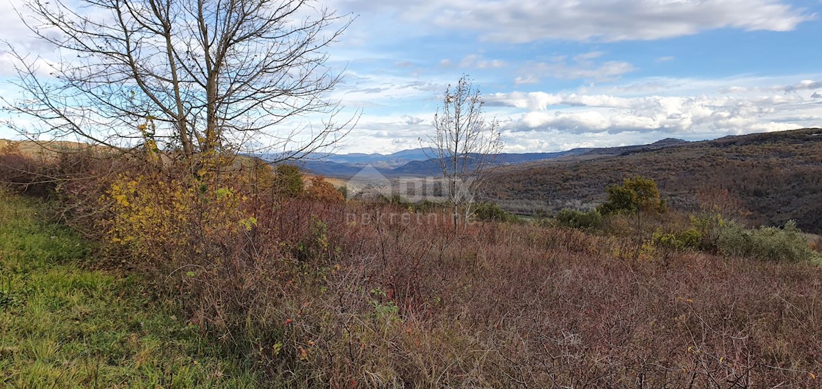 Terreno In vendita - ISTARSKA GROŽNJAN