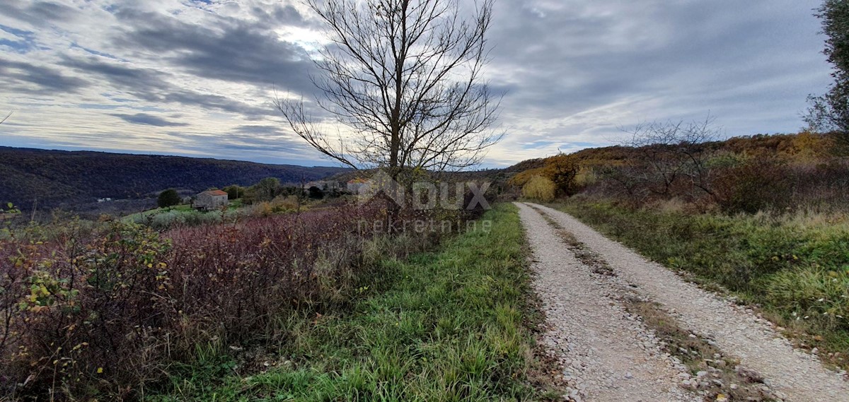 Pozemok Na predaj - ISTARSKA GROŽNJAN