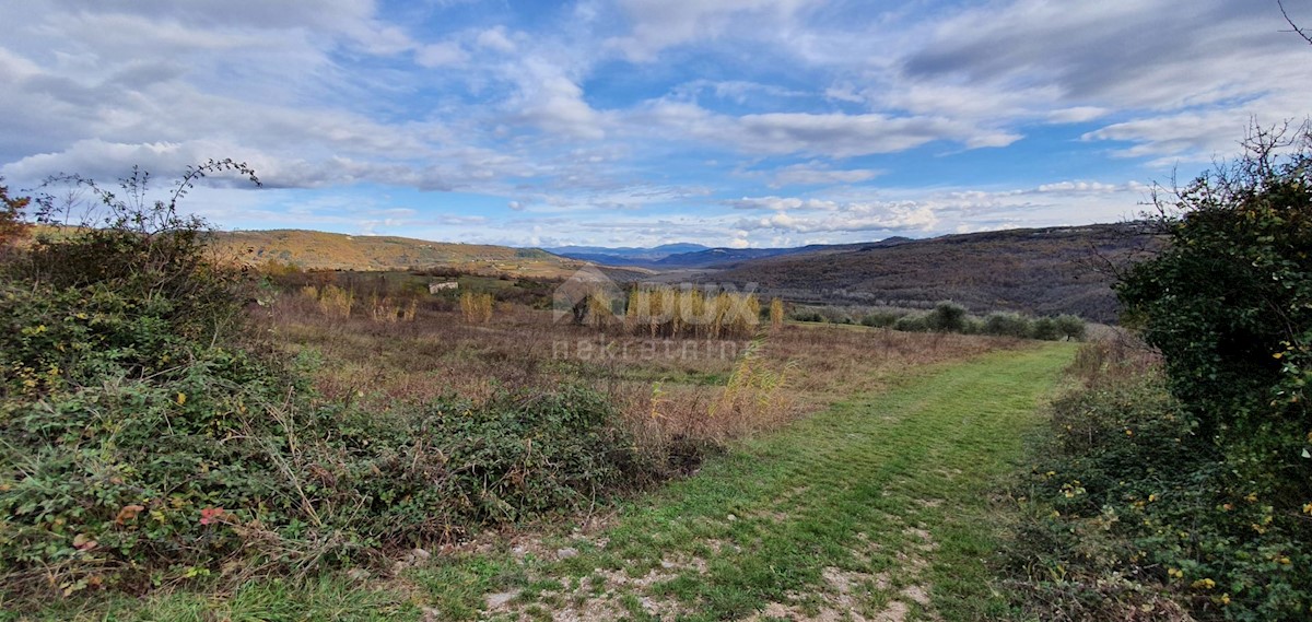 Terreno In vendita - ISTARSKA GROŽNJAN