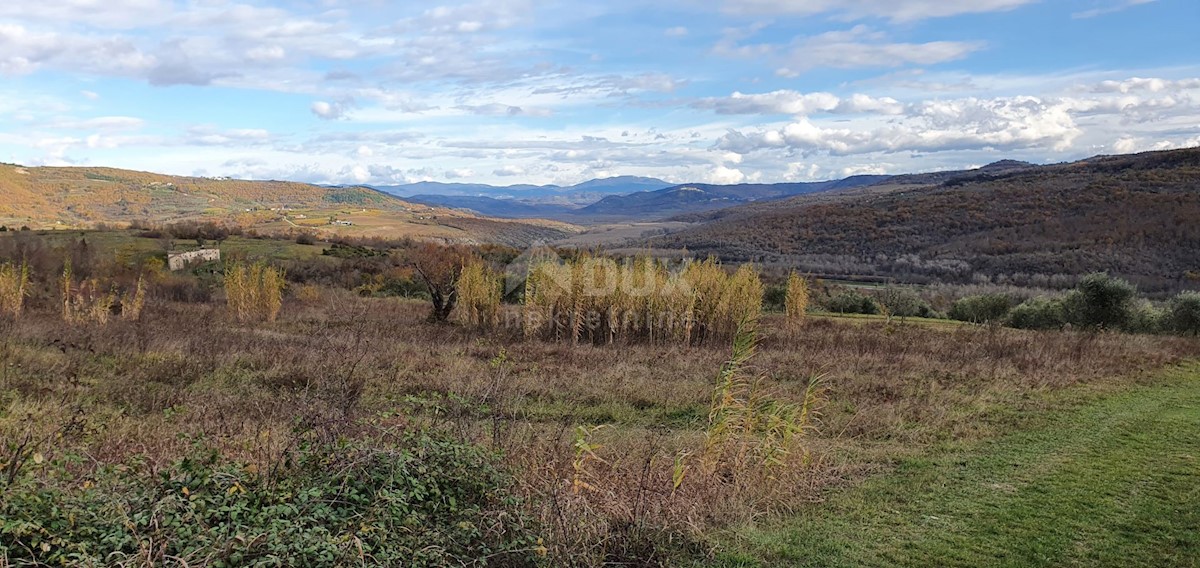 Terreno In vendita - ISTARSKA GROŽNJAN