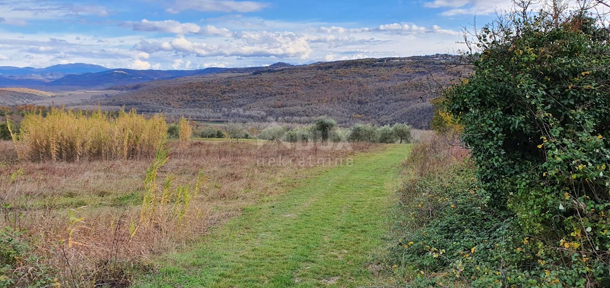 Pozemok Na predaj - ISTARSKA GROŽNJAN