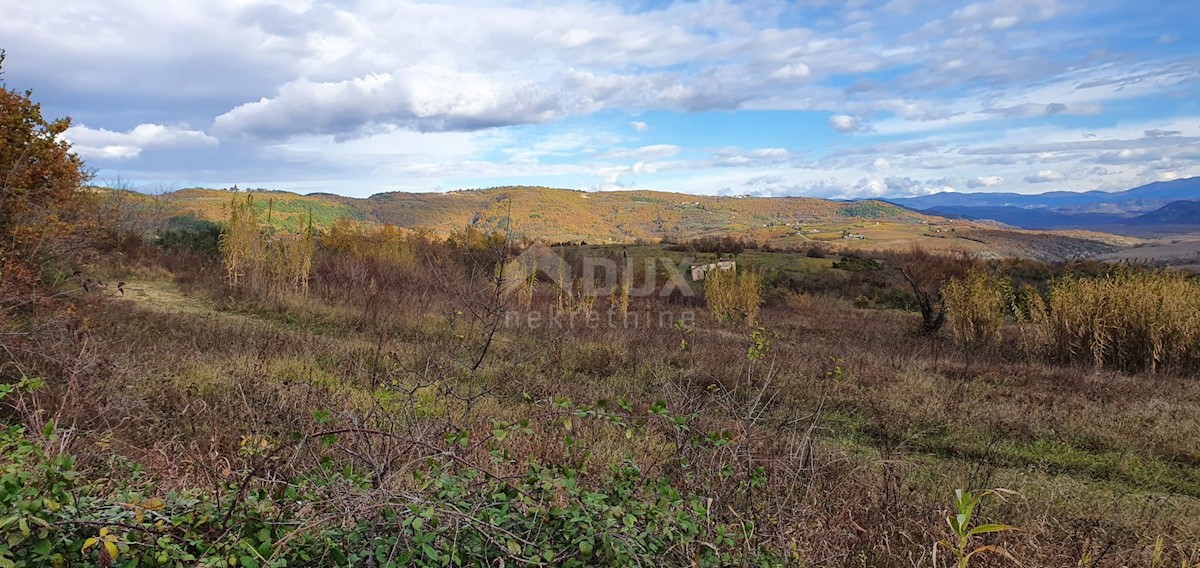 Terreno In vendita - ISTARSKA GROŽNJAN