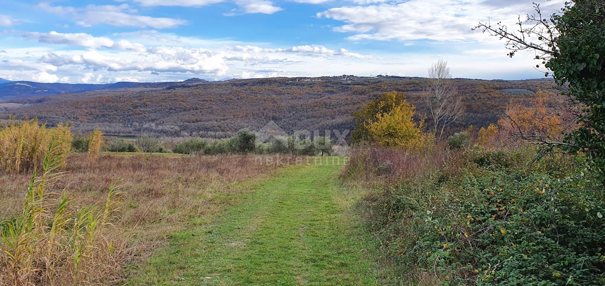 Terreno In vendita - ISTARSKA GROŽNJAN