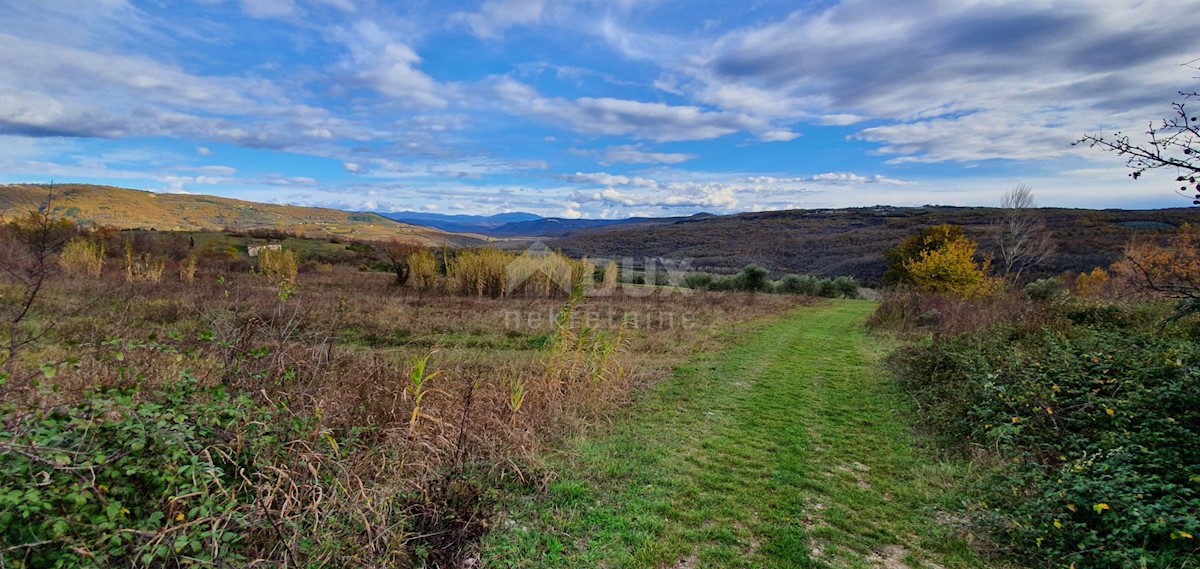 Terreno In vendita - ISTARSKA GROŽNJAN