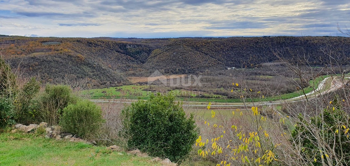 Terreno In vendita - ISTARSKA GROŽNJAN