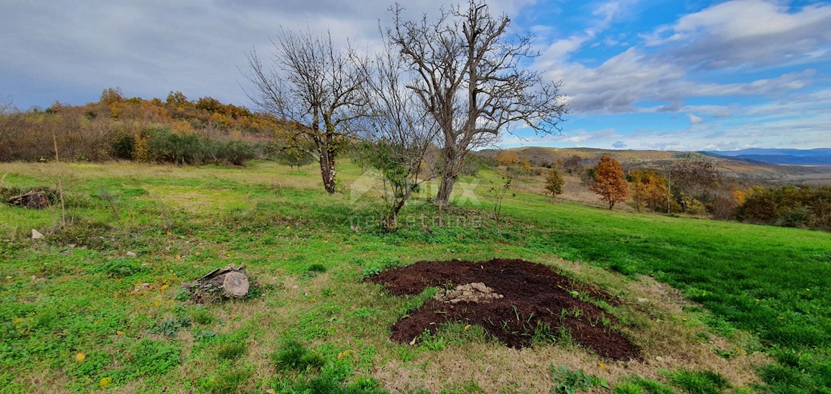 Terreno In vendita - ISTARSKA GROŽNJAN