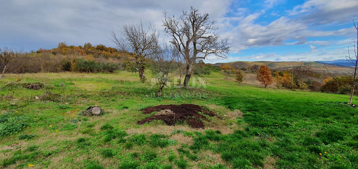 Pozemok Na predaj - ISTARSKA GROŽNJAN