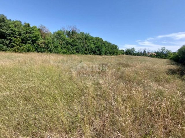 Parcela Naprodaj - Istarska Marčana - foto 4/4