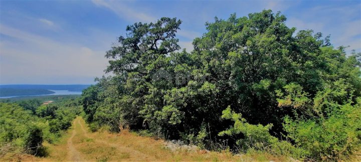 Terreno in vendita 5950 m² – Labin