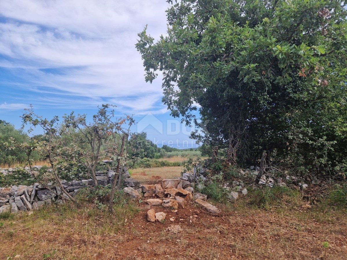 Parcela Naprodaj - ISTARSKA Marčana