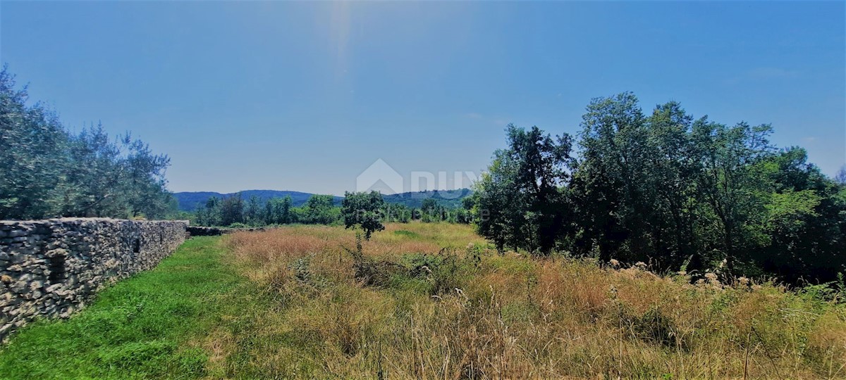 Terrain À vendre - ISTARSKA BUZET