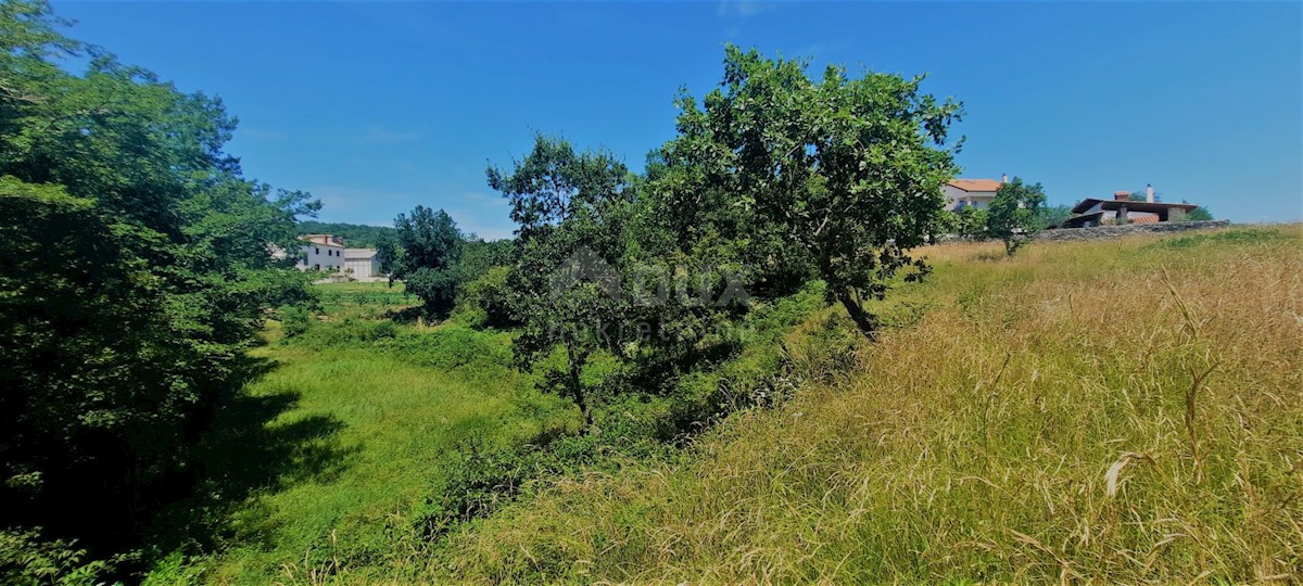 Terrain À vendre - ISTARSKA BUZET